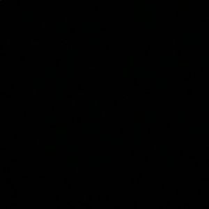 Meet your Posher, Ty